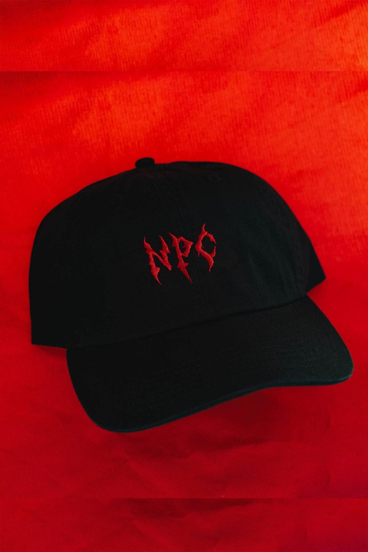 NPC Non Playing Character RPG Gaming PC Embroidered Dad Hat